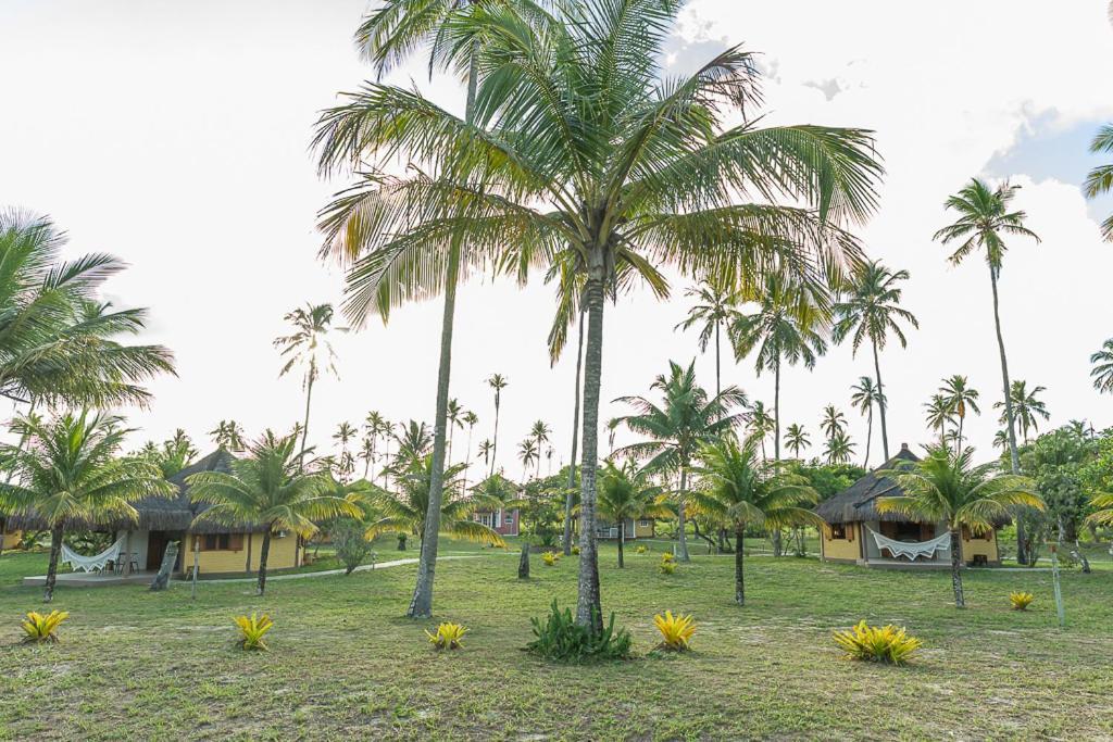 Jocotoka Village - Ponta Do Corumbau Exteriér fotografie